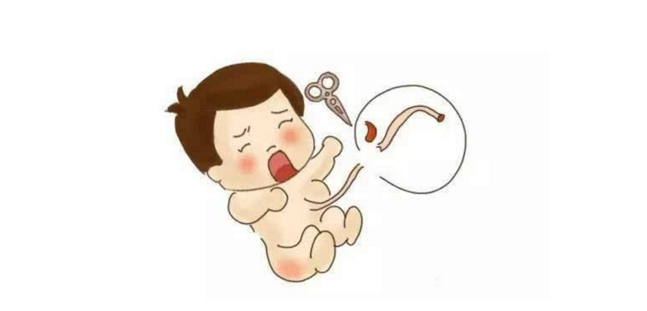 脐带血储存有必要吗？