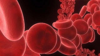 储存脐带血的作用是什么？