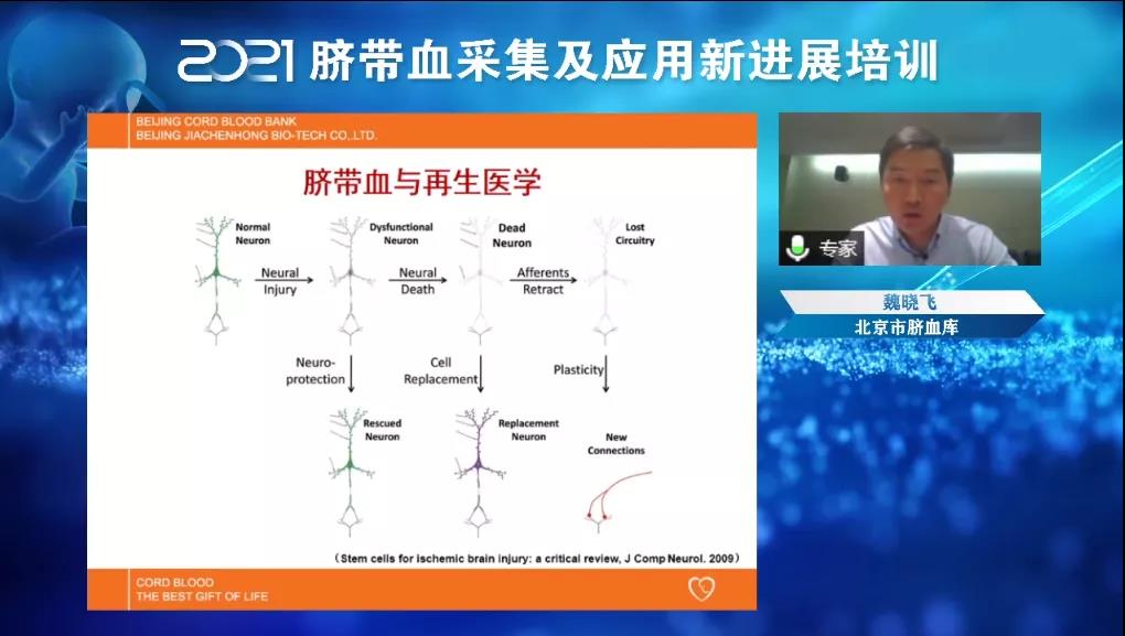 北京市脐血库技术中心主任魏晓飞.jpg