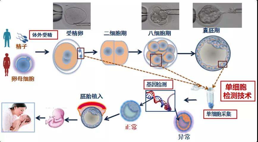 微信图片_20210806103249.jpg